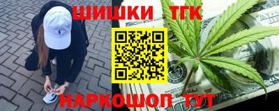 spice Моздок
