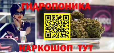 spice Моздок
