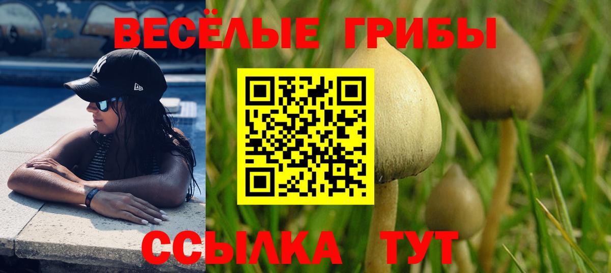 Псилоцибиновые грибы Magic Shrooms Ялуторовск